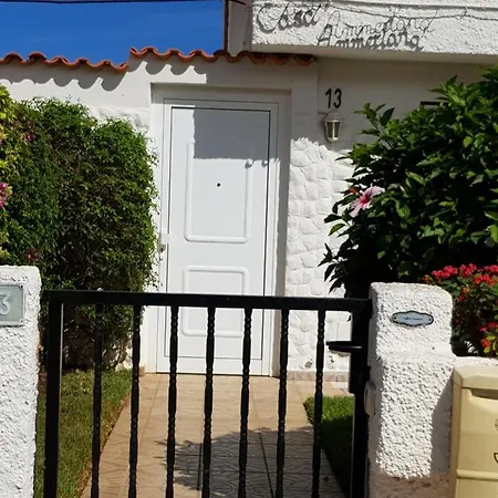 Casa Ammerland * Los Realejos